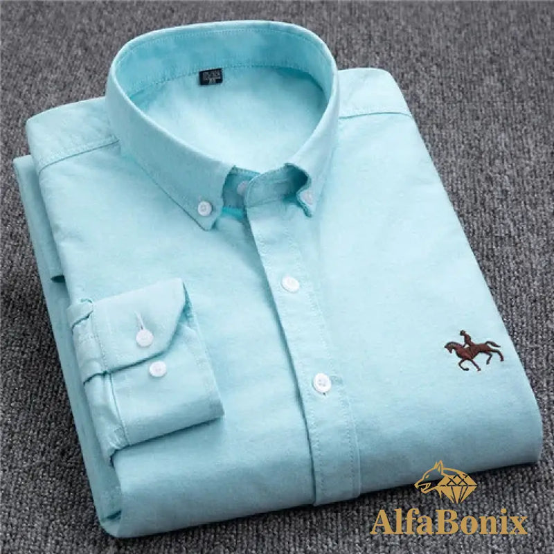 Camisa AlfaBonix Oxford