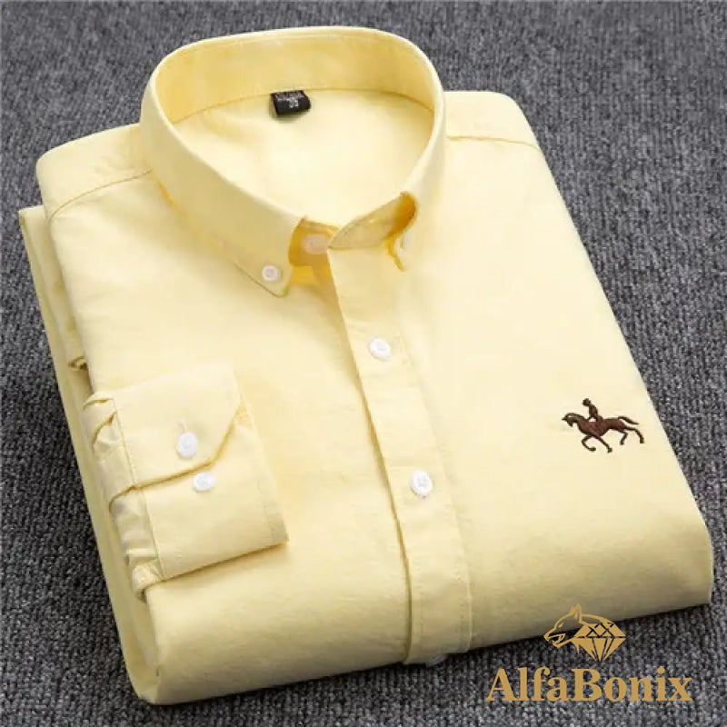 Camisa AlfaBonix Oxford